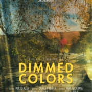 DIMMED COLORS Poster